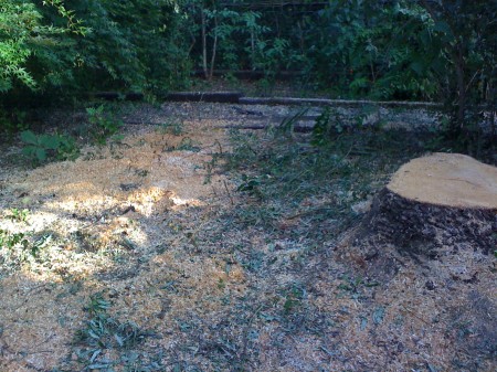 Yard and Sawdust