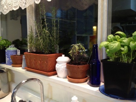 Herbs in the Window