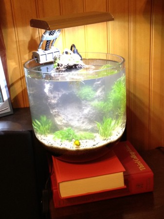 TinyTank