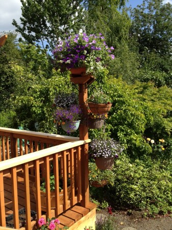 Flowers on the Spike