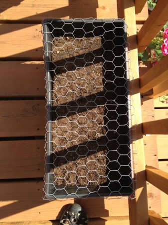 Take THAT, Squirrels!