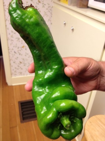 Mutant Pepper