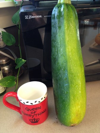 El Zucchini Gigantico