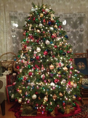 Tree 2014