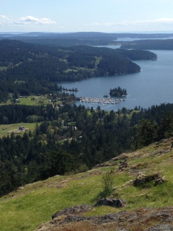 Turtleback Hike