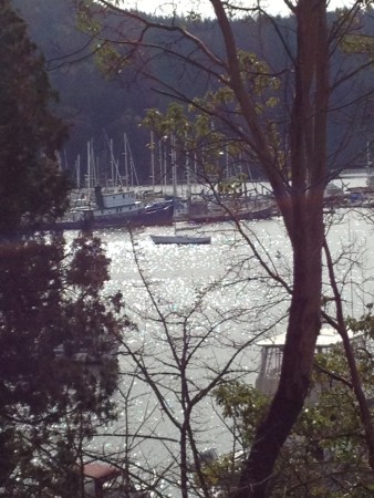 West sound harbor